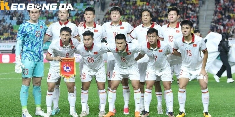 Tin Tức Đội Tuyển Việt Nam World Cup 2026 Mới Nhất