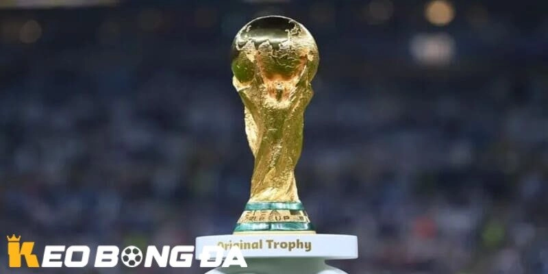 Phân tích các vị trị trong đội hình